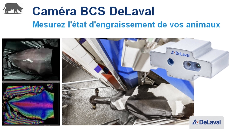 Camera BCS DeLaval