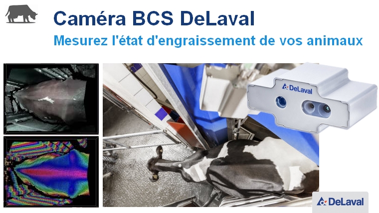 Camera BCS DeLaval