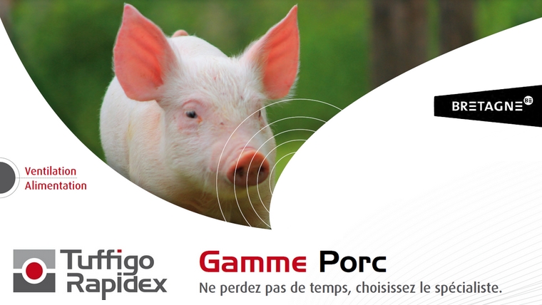 Gamme Tuffigo Rapidex