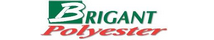 Brigant Logo